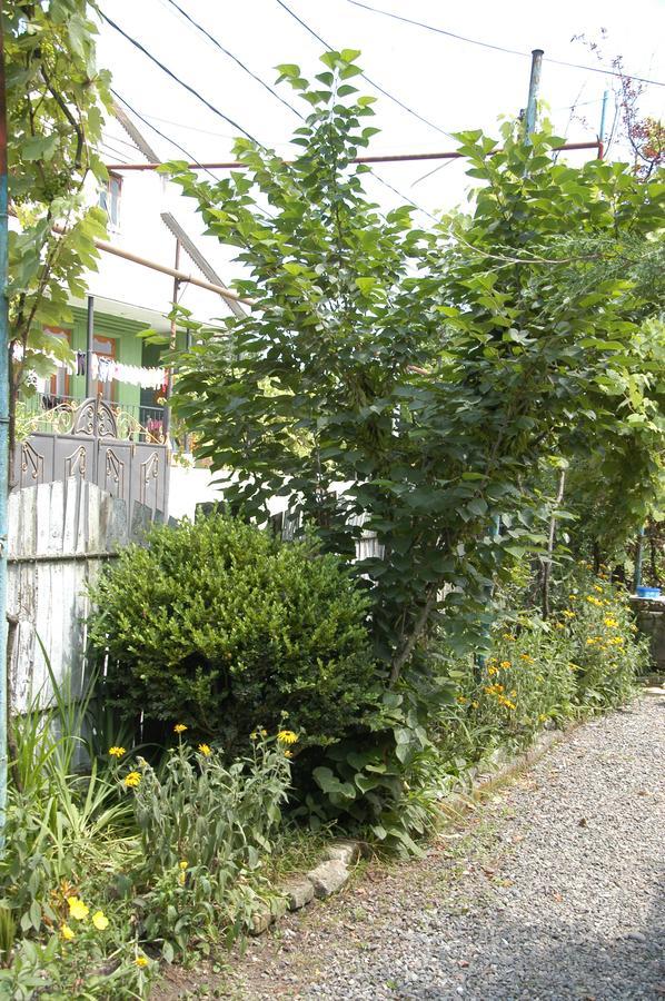 Guest House Barbi Batumi Eksteriør bilde